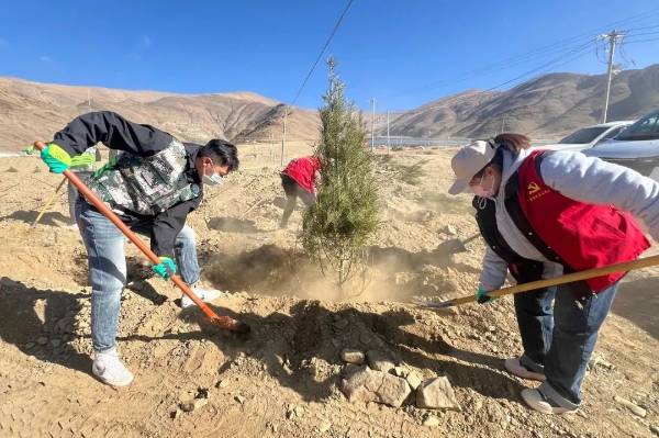 1743402118334436.jpg 10.jpg