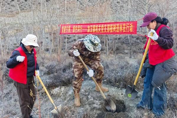 1743402125600331.jpg 11.jpg