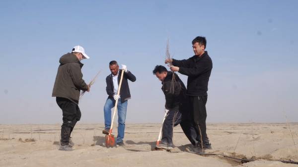 1743402416988908.jpg 14.jpg