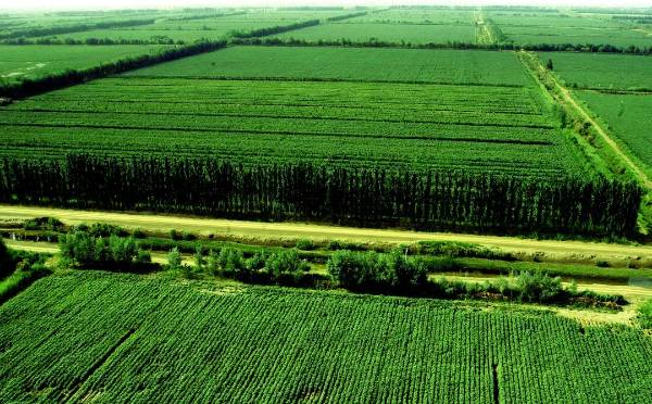 1743402451214602.jpg 16.jpg