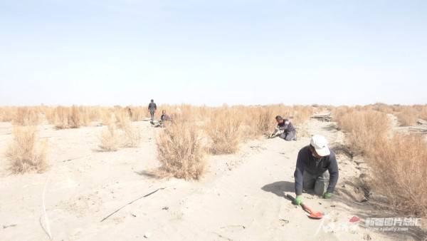 1743402458205737.jpg 17.jpg