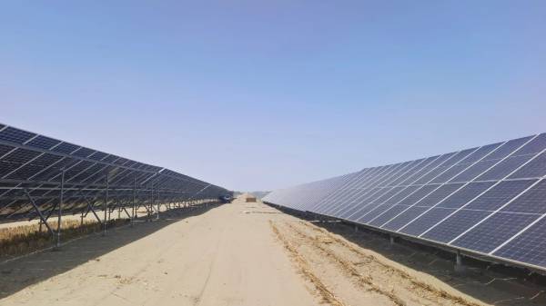 1743402485486365.jpg 20.jpg