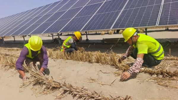 1743402498946039.jpg 22.jpg