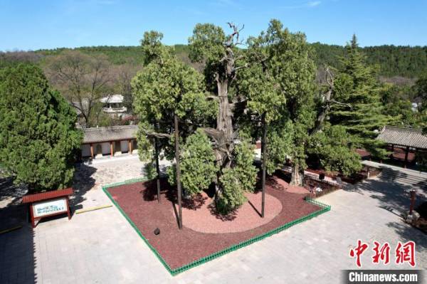 1743402589413356.jpg 23.jpg