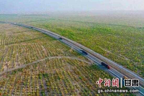 1743402686407886.jpg 25.jpg