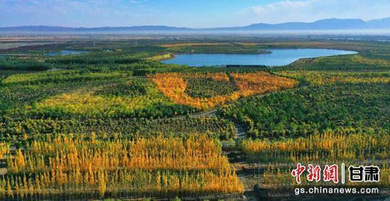 1743402694499180.jpg 26.jpg