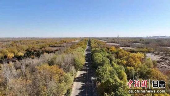 1743402710837986.jpg 28.jpg