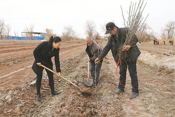 1743402831831964.jpg 29.jpg