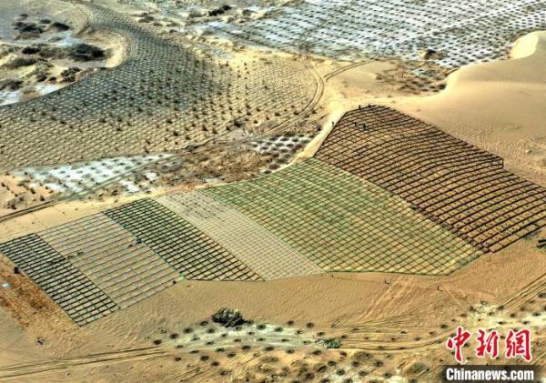 1743411408445949.jpg 2 (1).jpg