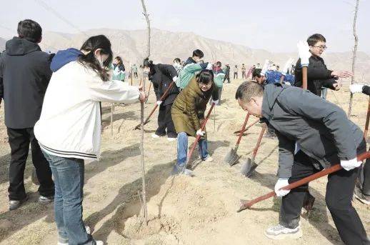 1743474245227989.jpg 1 (1).jpg