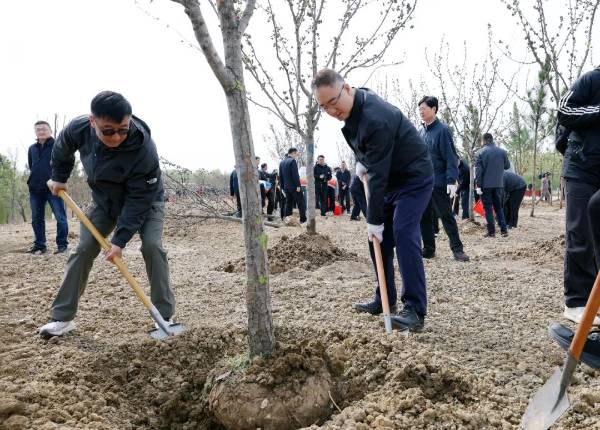 1743474371950083.jpg 3 (1).jpg