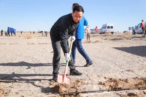 1743474577221436.jpg 3.jpg