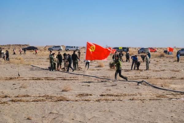 1743474590300050.jpg 5.jpg