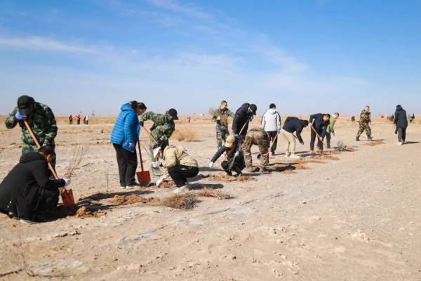 1743474593672838.jpg 6.jpg