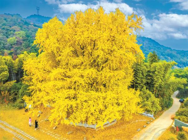 1743477605853887.jpg 2 (1).jpg