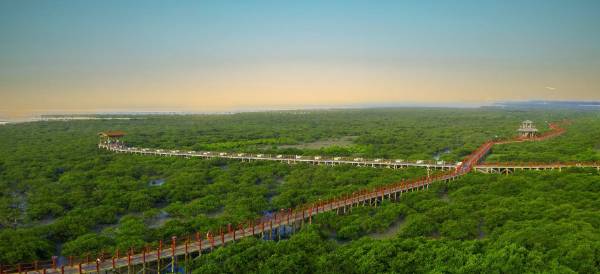 1743477650317399.jpg 1 (1).jpg