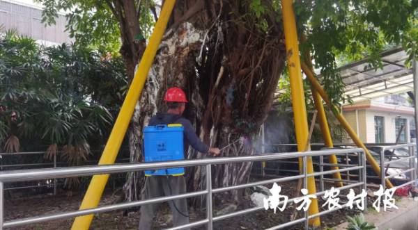 1743485602886106.png 1 (1).png