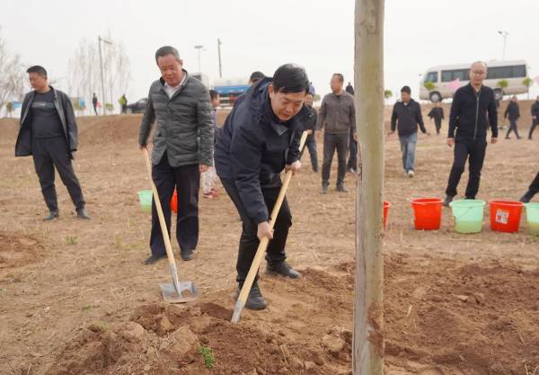 1743485967415851.jpg 4 (1).jpg