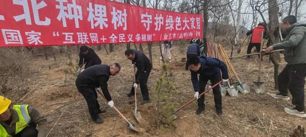 1743558786667709.jpg 1.jpg