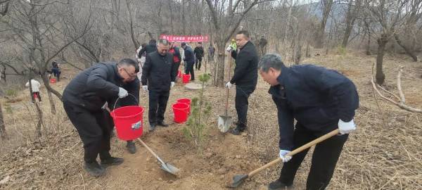 1743558789661725.jpg 2.jpg