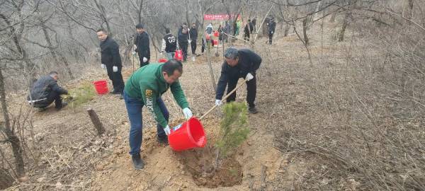 1743558800561410.jpg 3.jpg