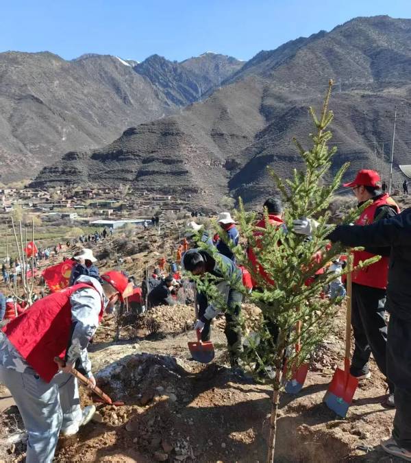 1743559044414546.jpg 4.jpg