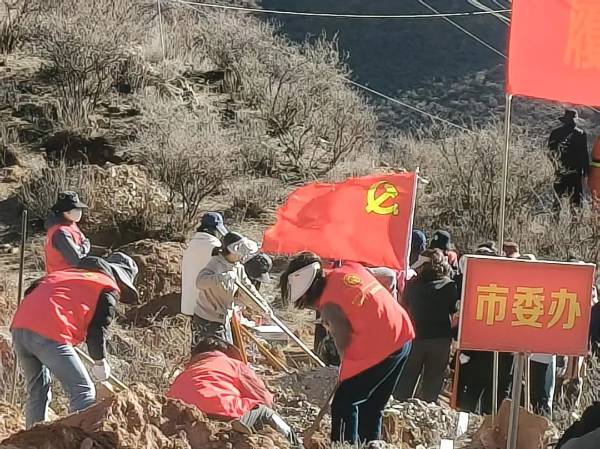 1743559166979148.jpg 微信图片_20250402100036 (1).jpg