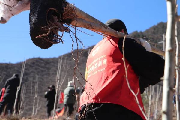 1743559176720437.jpg 6.jpg