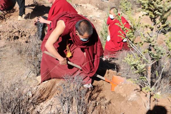 1743559181915438.jpg 7.jpg