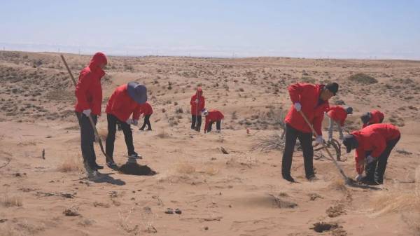 1743559319406219.jpg 12.jpg