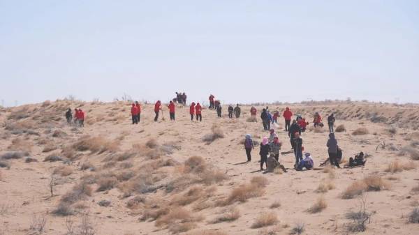 1743559333722716.jpg 13.jpg