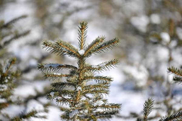 1743576780525741.jpg 2 (1).jpg