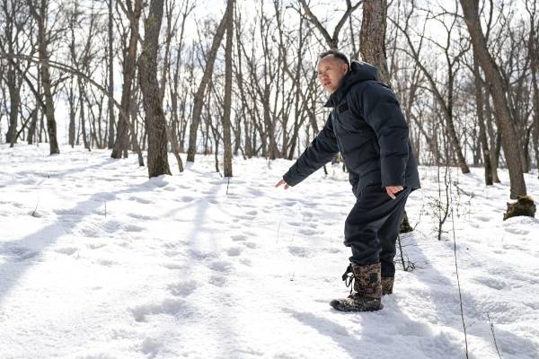 1743576790197211.jpg 3 (1).jpg