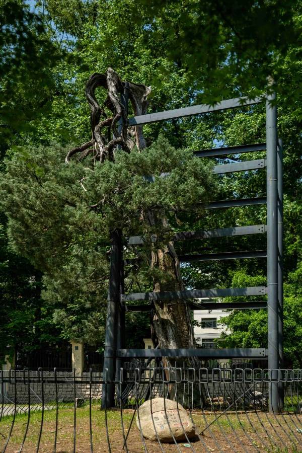 1743576954419403.jpg 5 (1).jpg