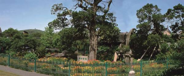 1743576969752199.jpg 6 (1).jpg