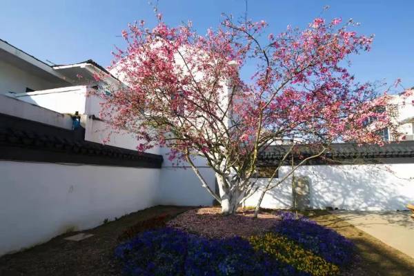 1743576990248747.jpg 7 (1).jpg