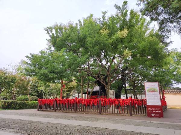 1743576999100304.jpg 8 (1).jpg