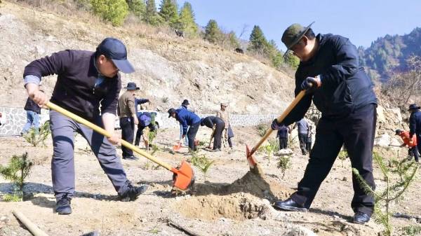 1743577189255103.jpg 1.jpg