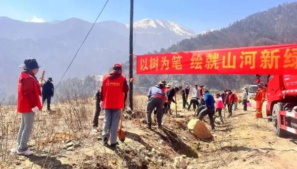 1743577196595895.jpg 2.jpg