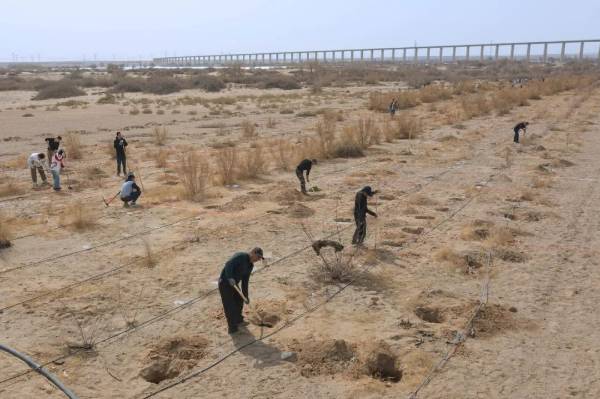 1743577353585044.jpg 3.jpg