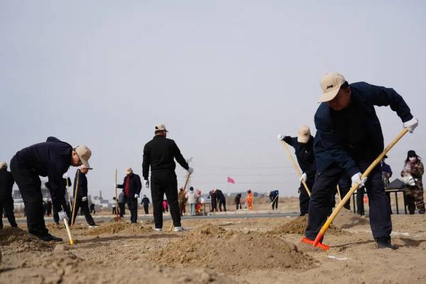 1743577363791391.jpg 4.jpg