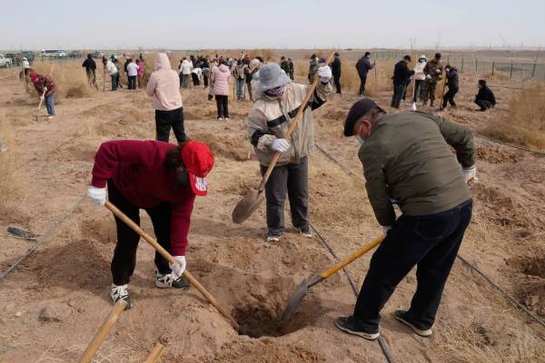 1743577373748222.jpg 5.jpg