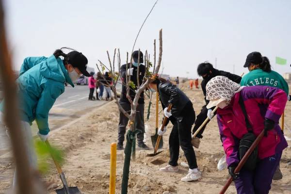 1743577383795579.jpg 6.jpg