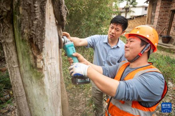 1743577580276472.jpg 7.jpg