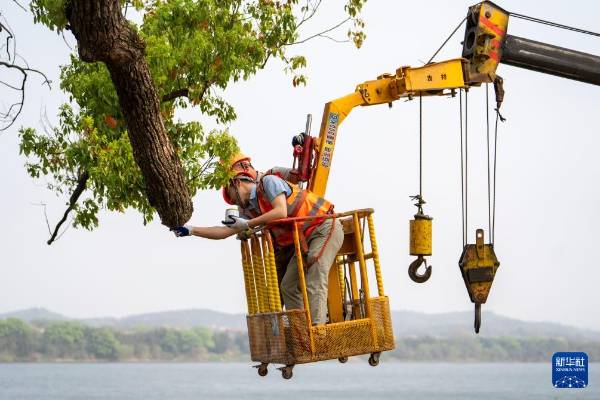 1743577598788262.jpg 8.jpg