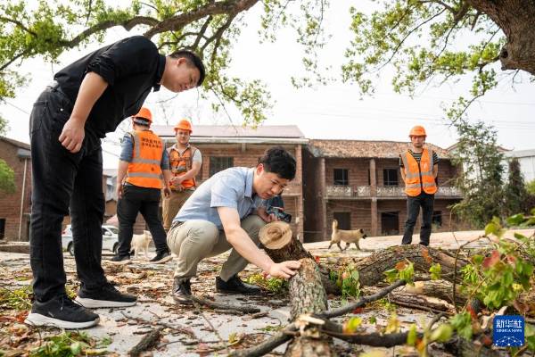 1743577604728431.jpg 9.jpg