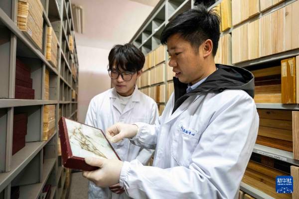 1743577610771095.jpg 10.jpg