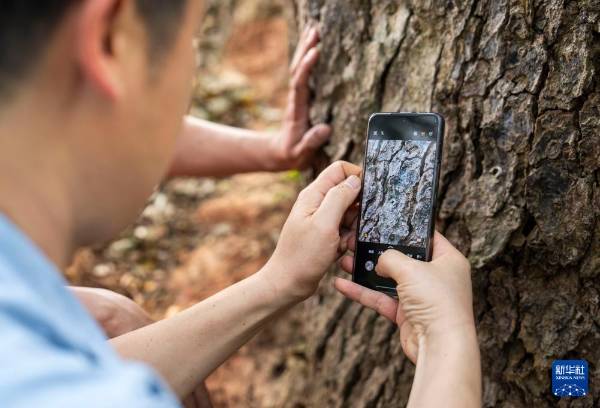 1743577617299041.jpg 11.jpg