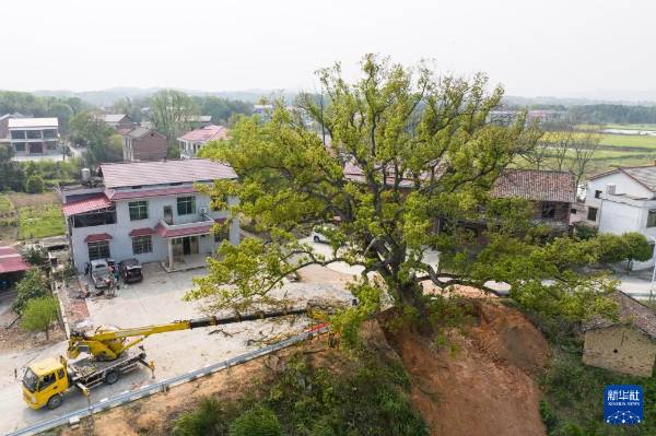 1743577623128217.jpg 12.jpg