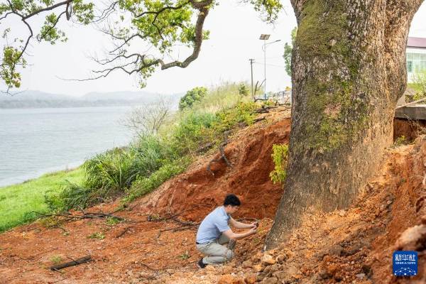 1743577630762583.jpg 13.jpg